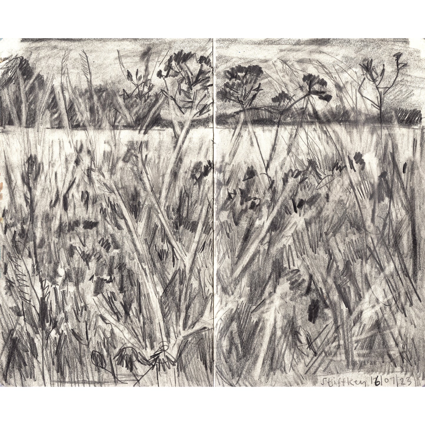 Stiffkey