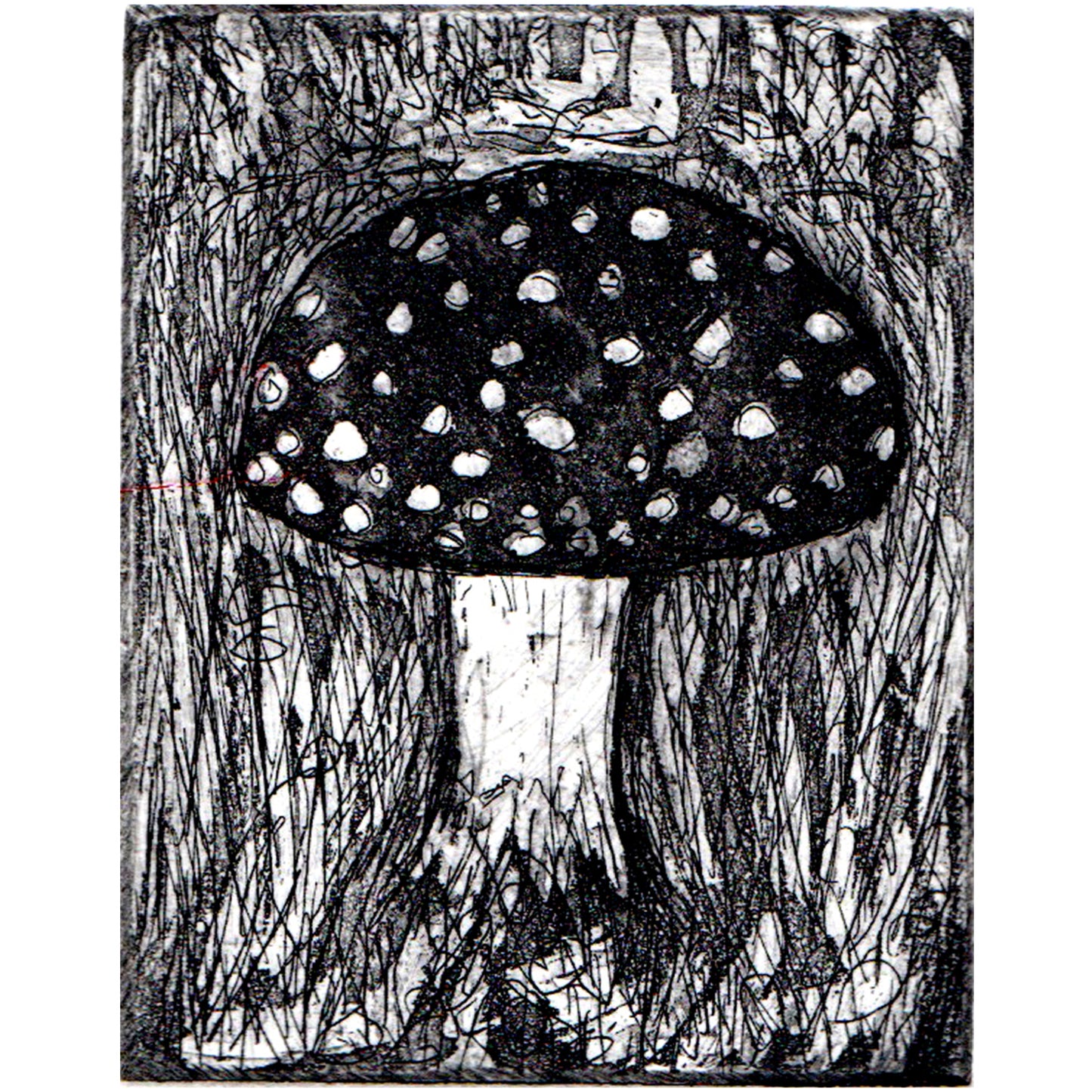 Toadstool