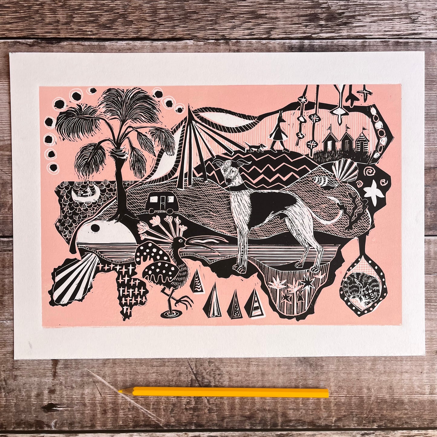 The whippet, the beach huts and the stripy cat