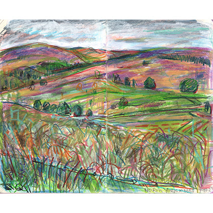York Moors 2