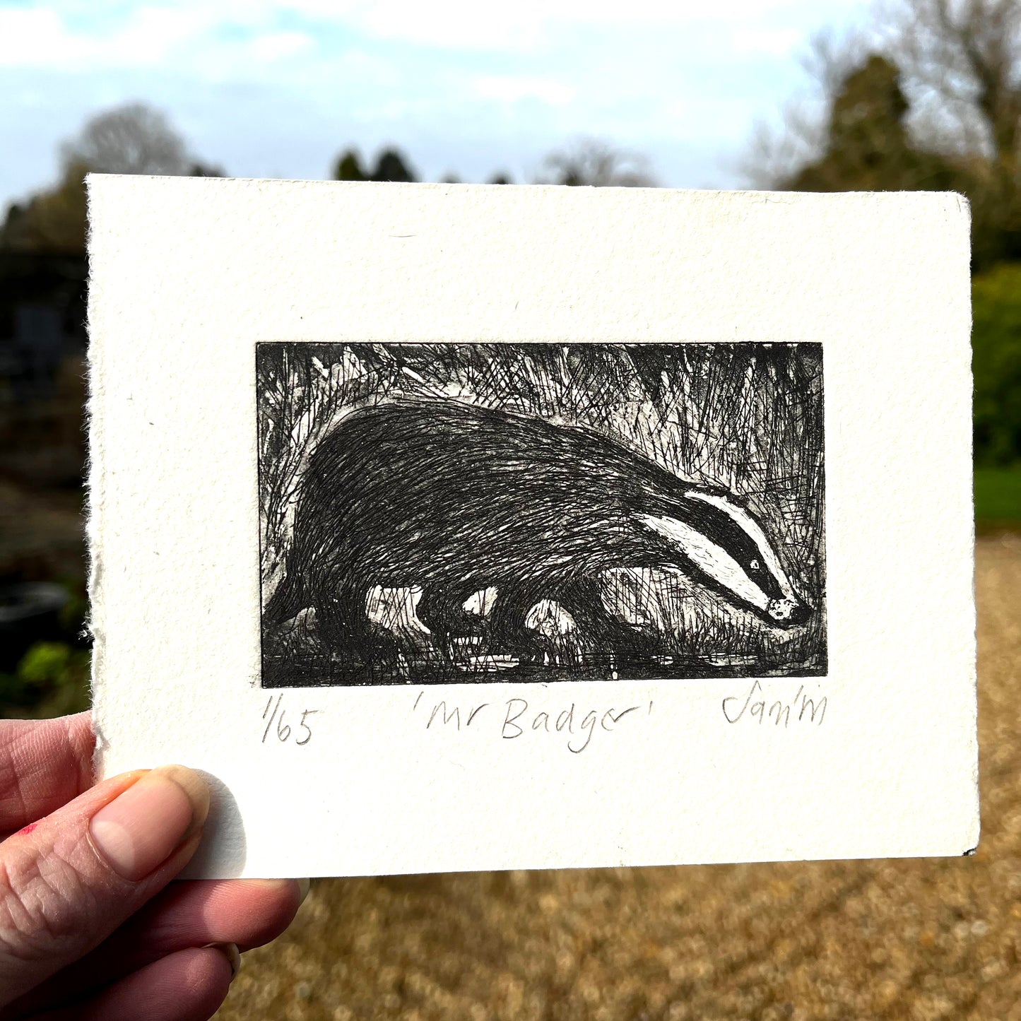 Mr Badger