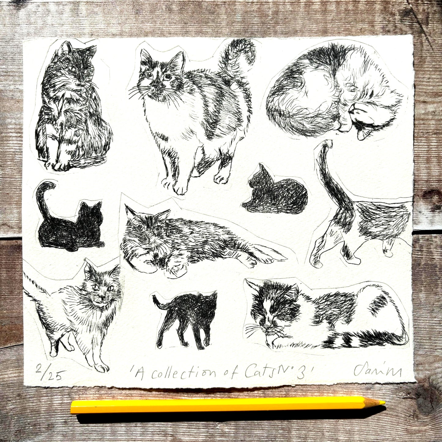 Collection of Cats no 3