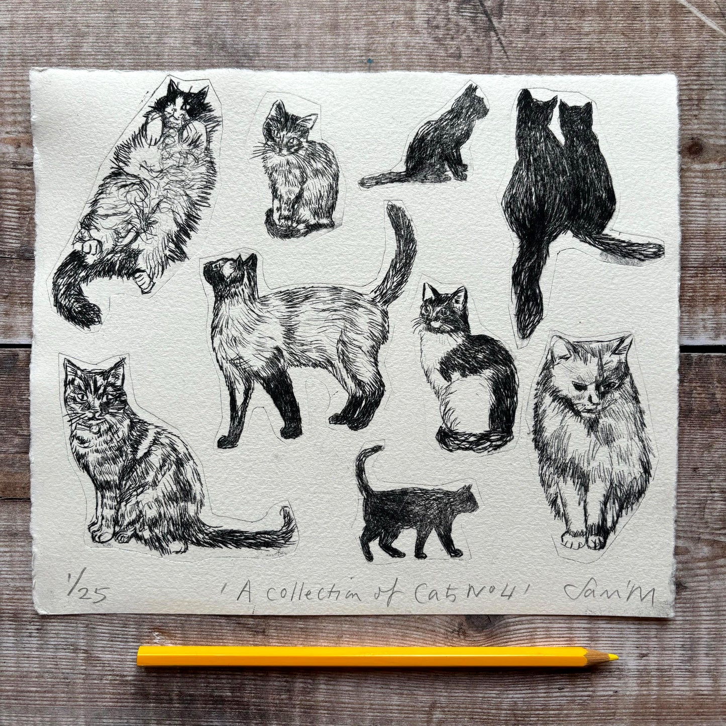 Collection of Cats no 4