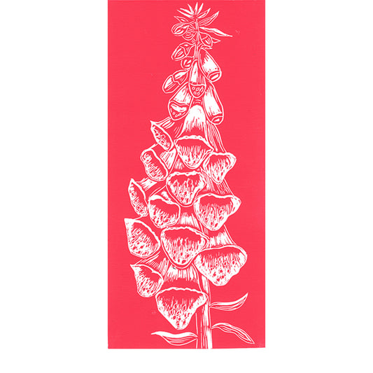 Foxglove