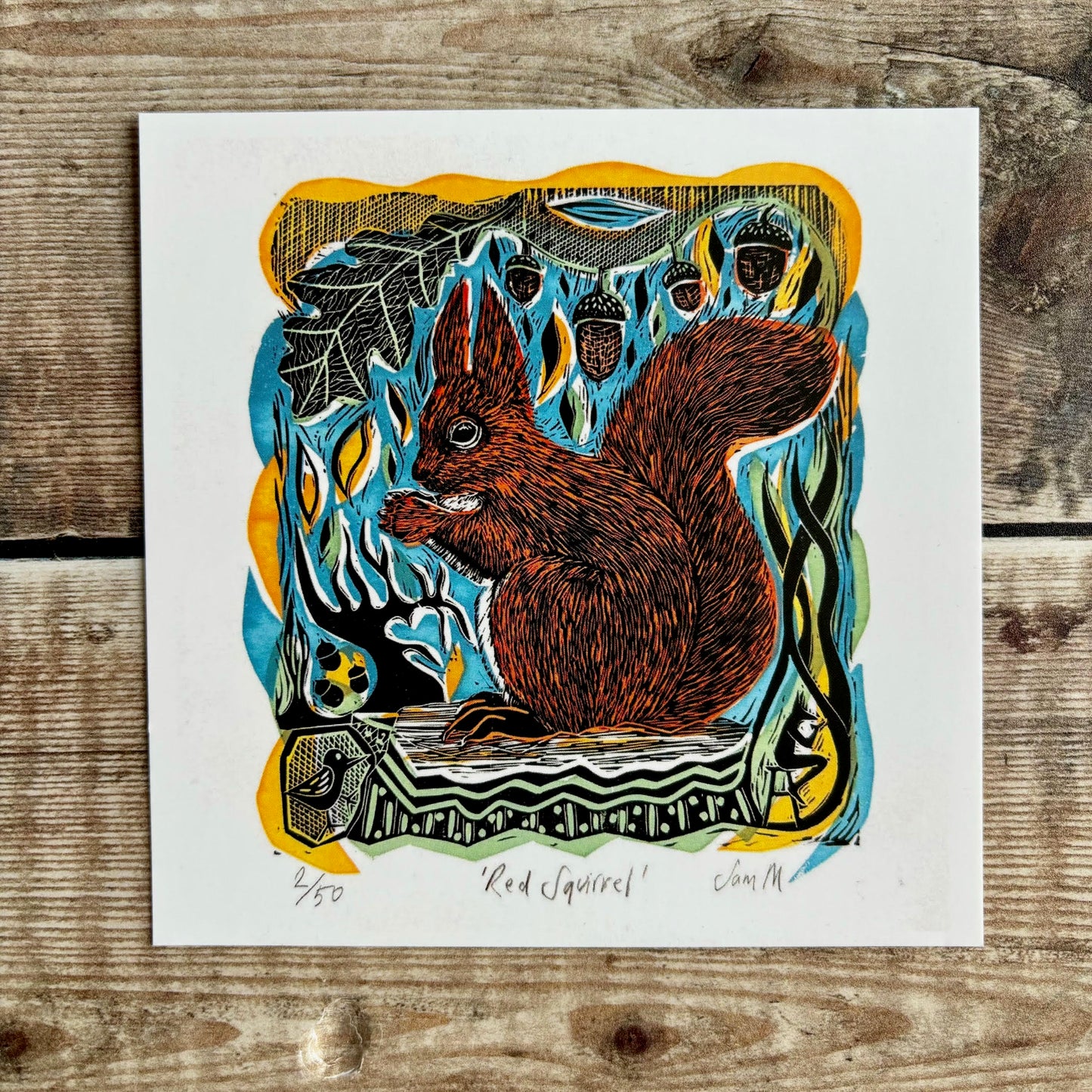 Red Squirrel