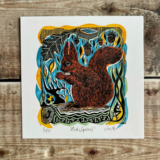 Red Squirrel