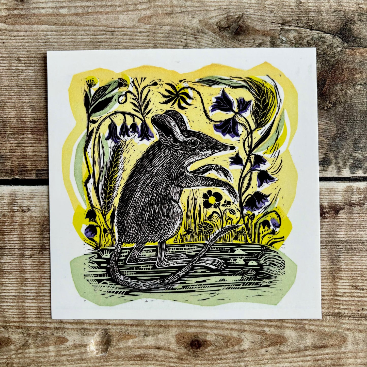 Ratty and the bluebells