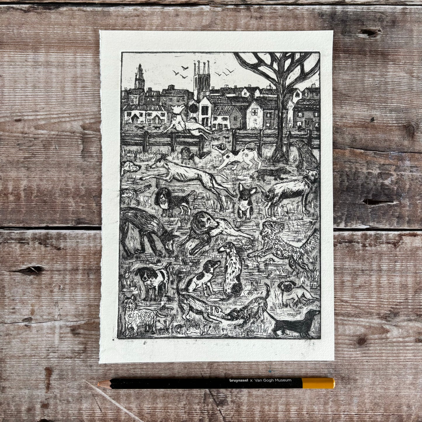Dog Park with aquatint ( tone )