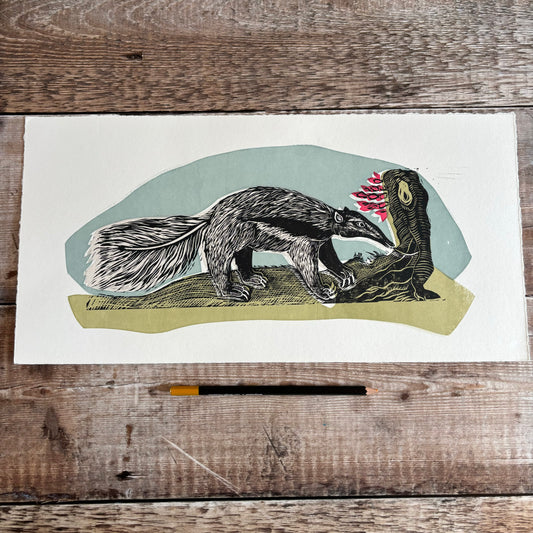 Anteater