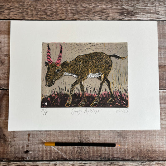 Saiga Antelope