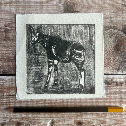 Okapi