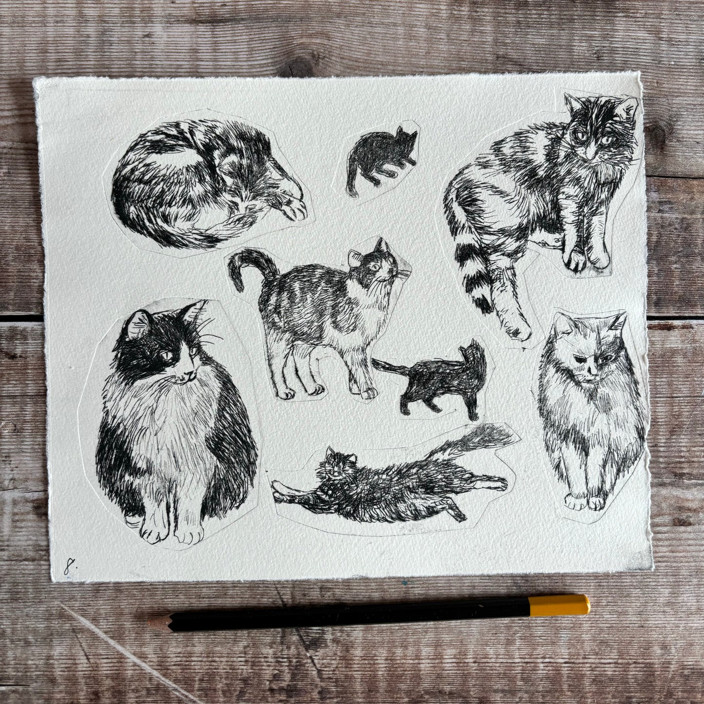 Collection of cats - test print 8