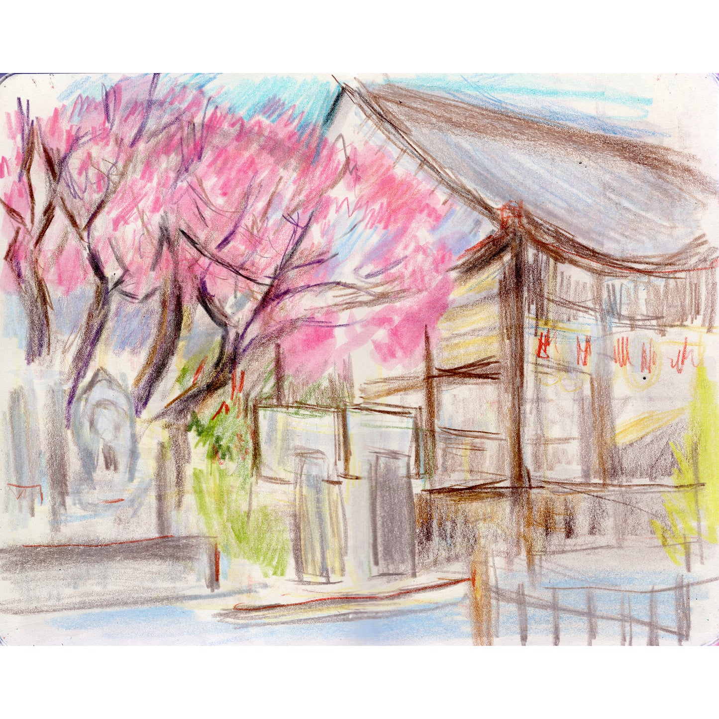Plum Blossom, Tonamura, Japan