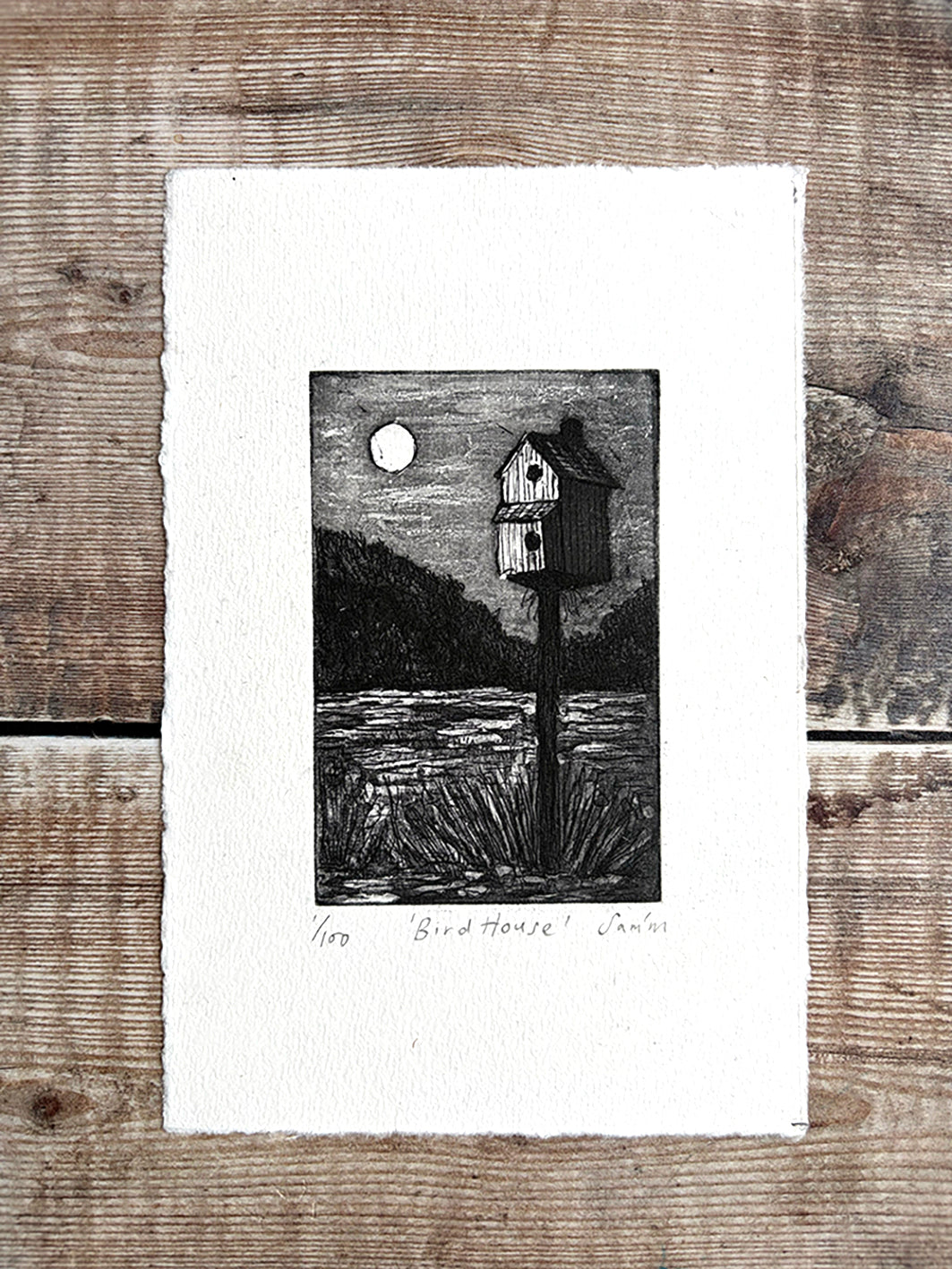 The Bird House