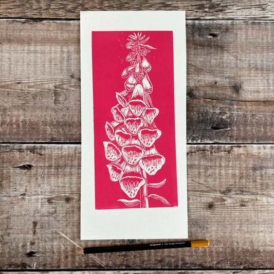 Foxglove