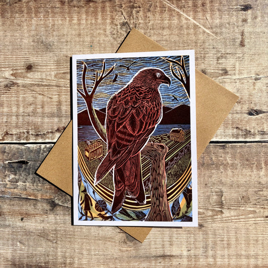 Red Kite
