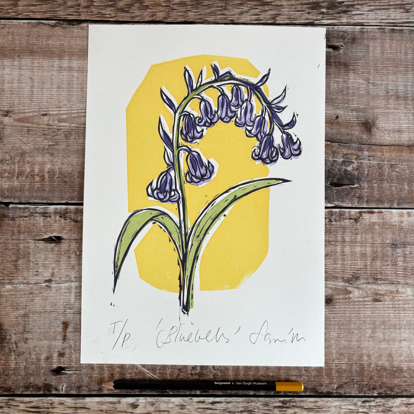 Bluebell - yellow background