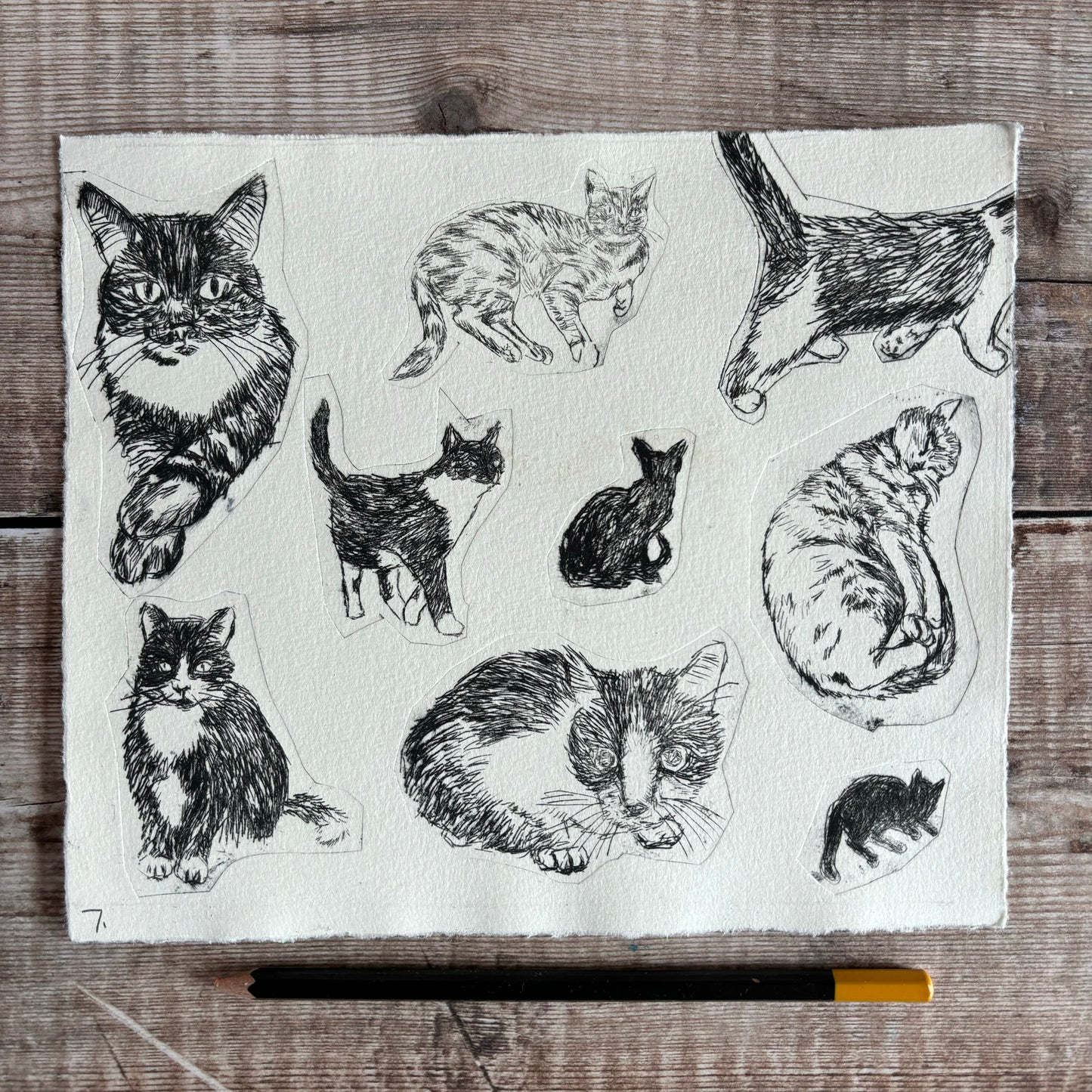 Collection of cats - test print 7
