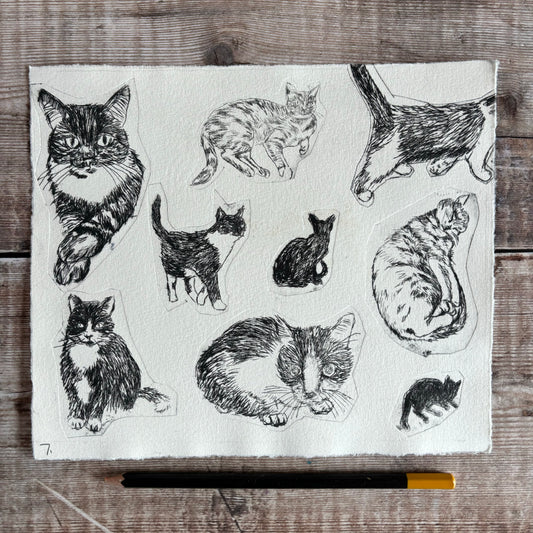Collection of cats - test print 7