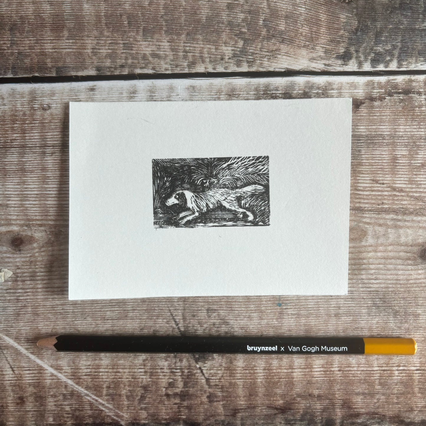 Spaniel - wood engraving