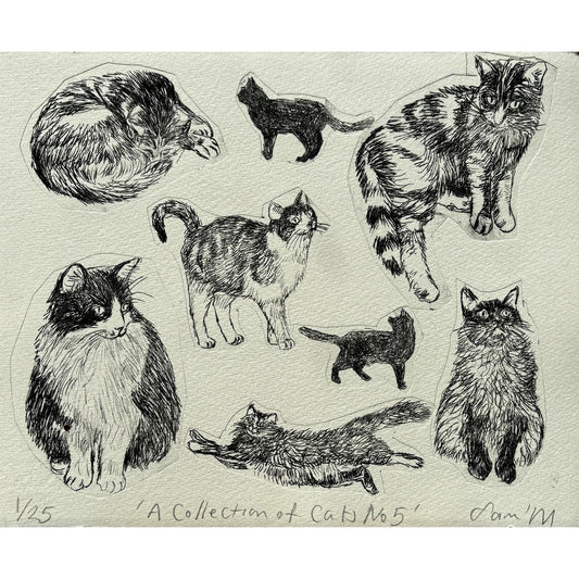 Collection of Cats no 5