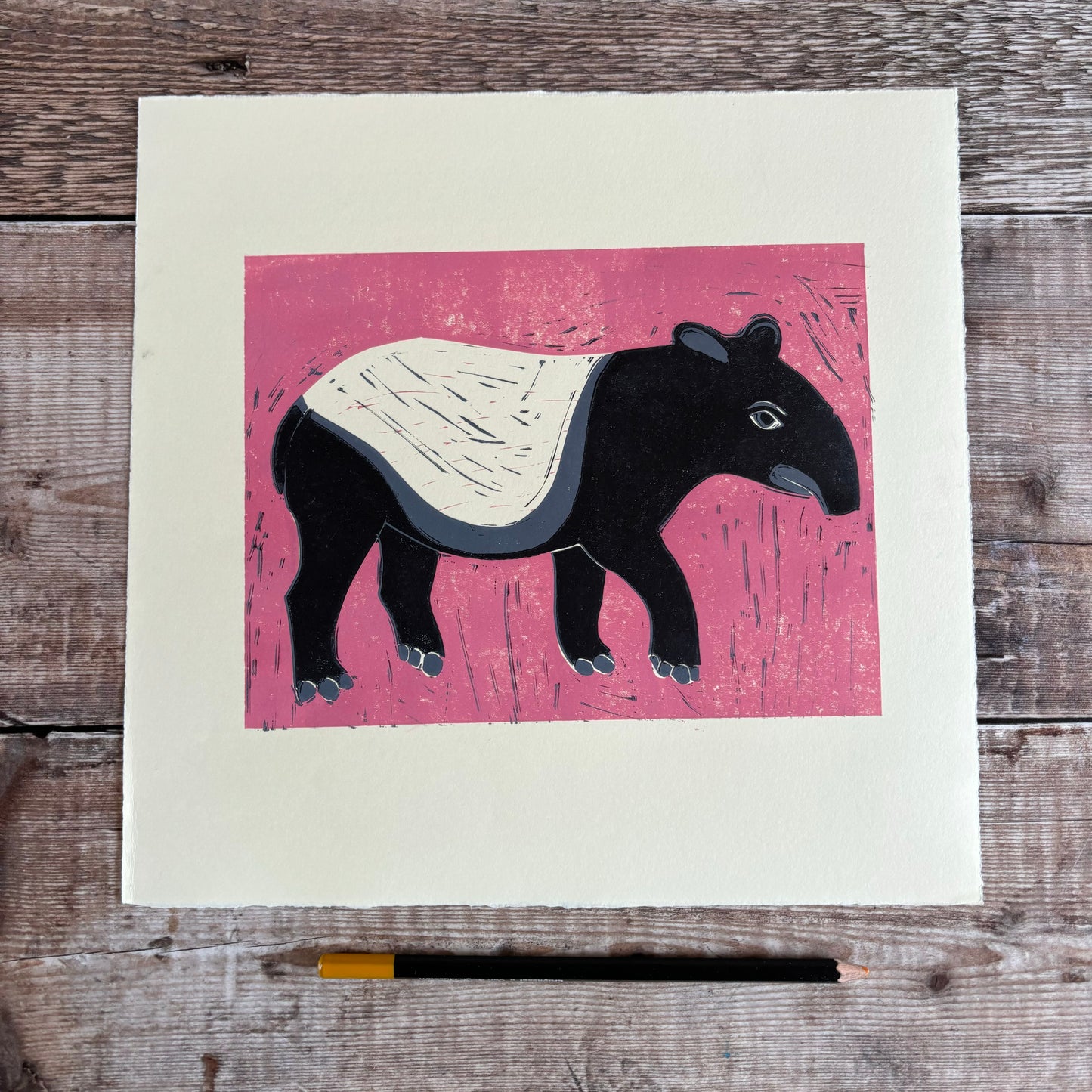 Pink Tapir