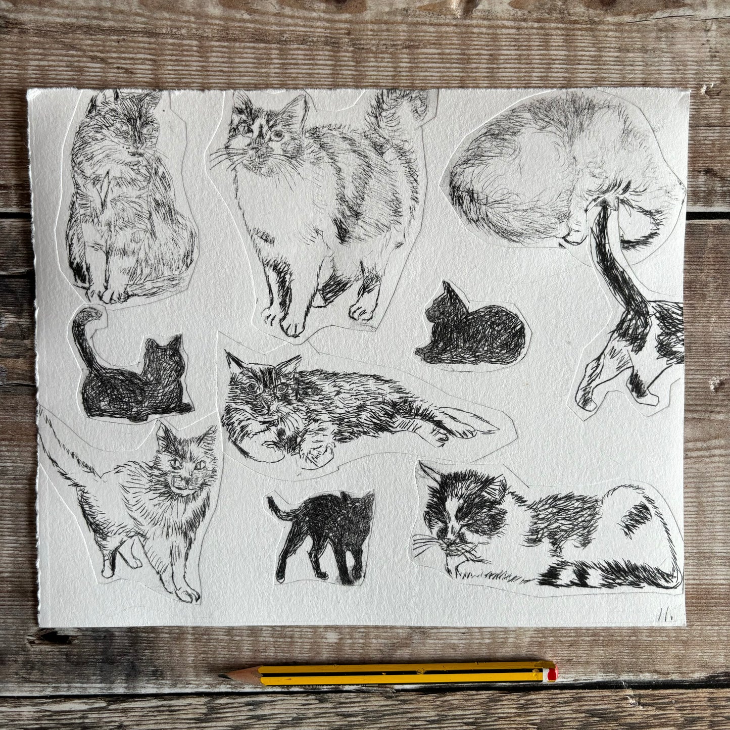 Collection of cats test print 11