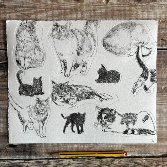 Collection of cats test print 11