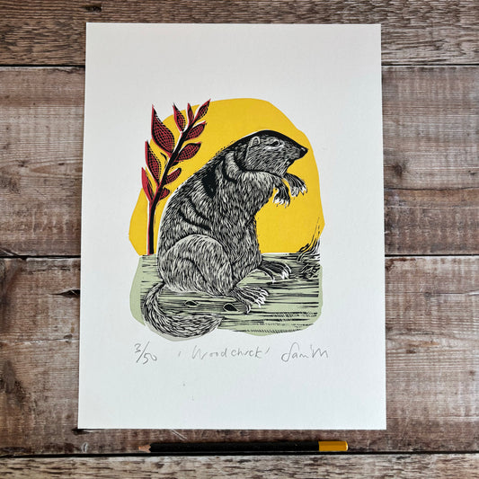 Woodchuck - editioned print 1/2 price