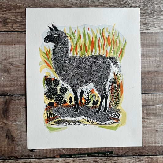 Llama