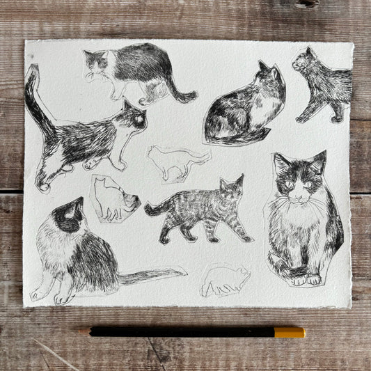 Collection of cats test print 2