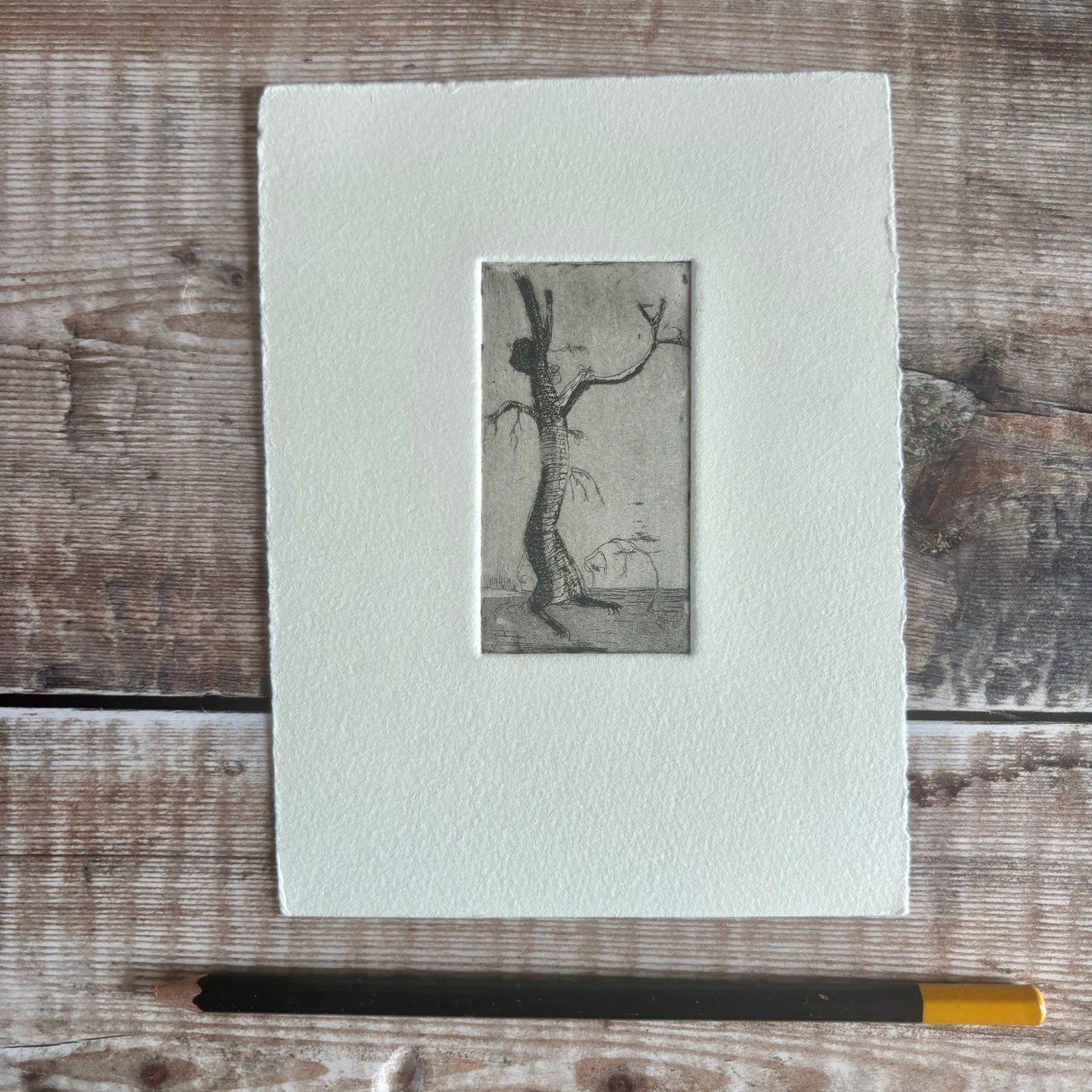 The Tree