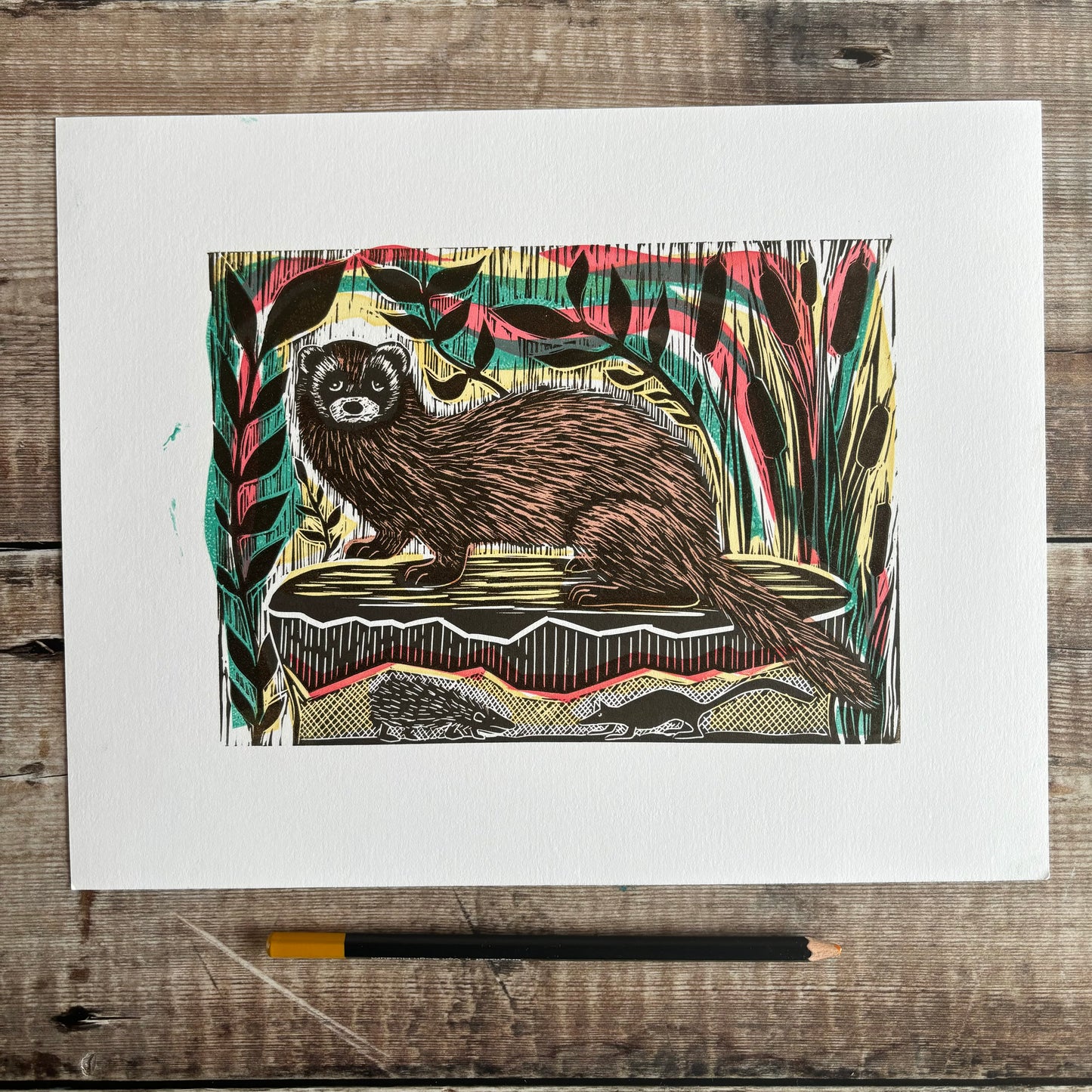 Polecat