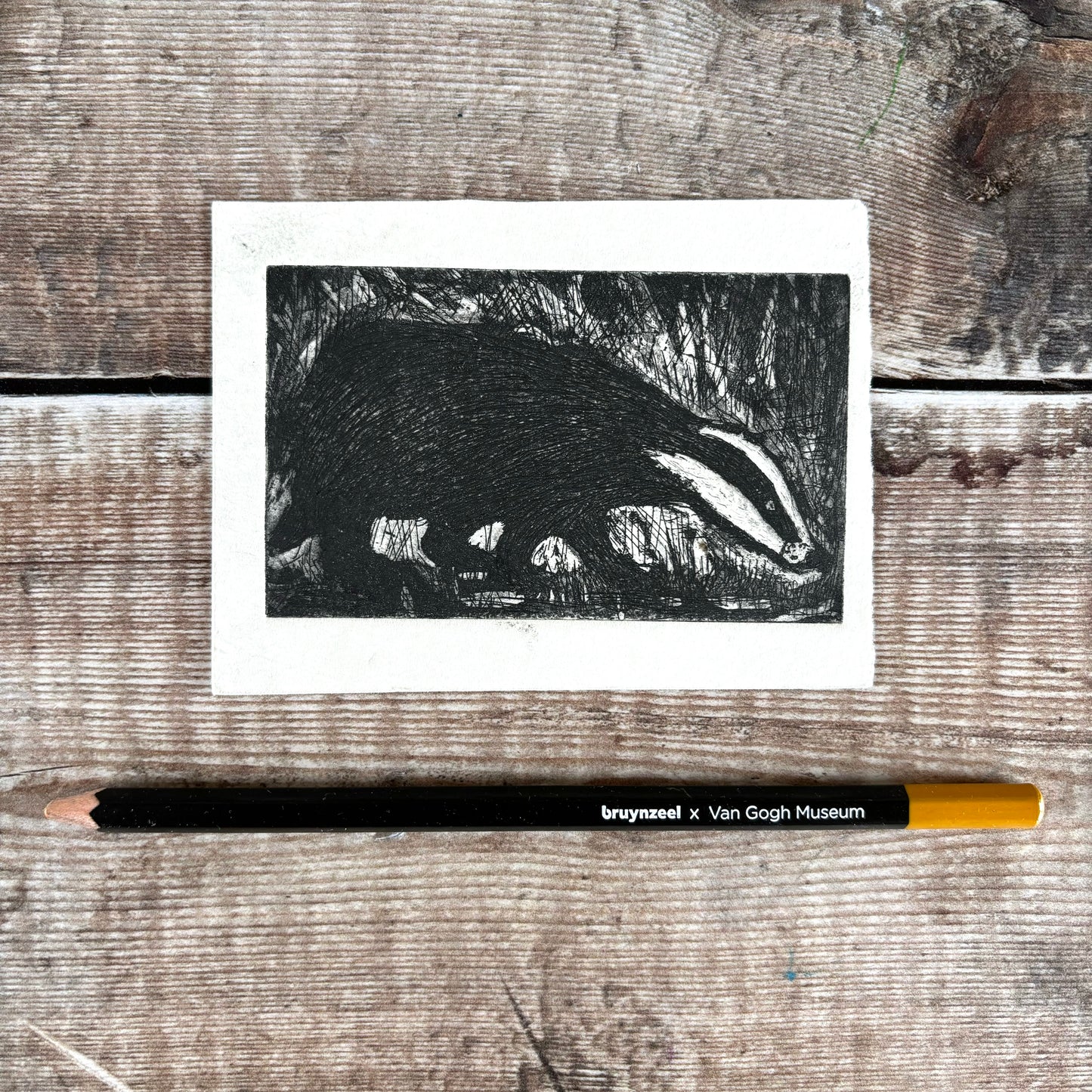 Mr Badger