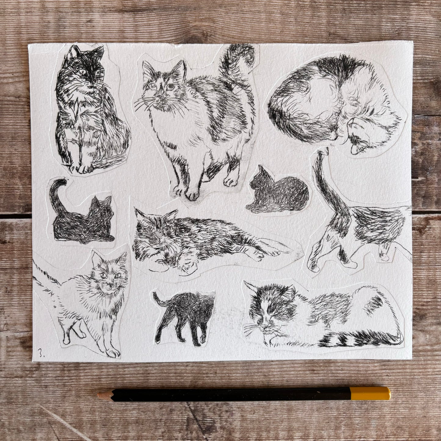 Collection of cats -  test print 3