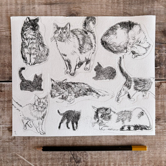 Collection of cats -  test print 3