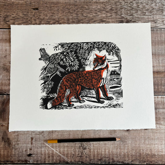 Red Fox