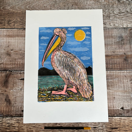 Pelican