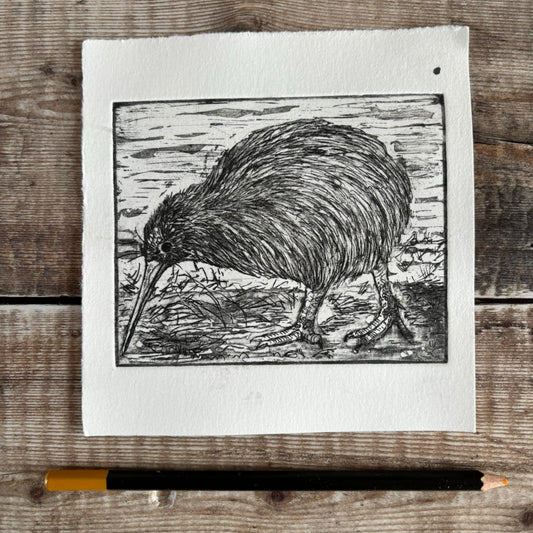Kiwi bird