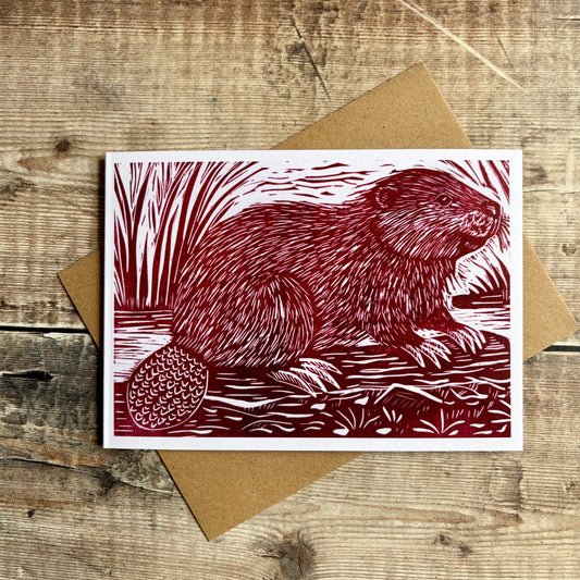 Beaver