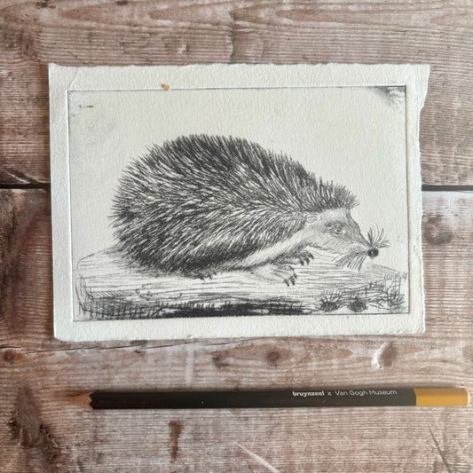 Hedgehog