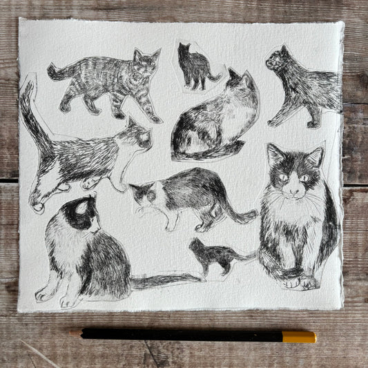 Collection of cats - test print 1