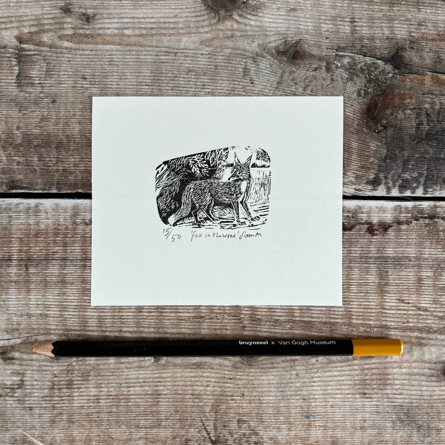 Fox in the wood - wood engraving