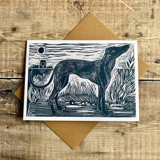 Whippet