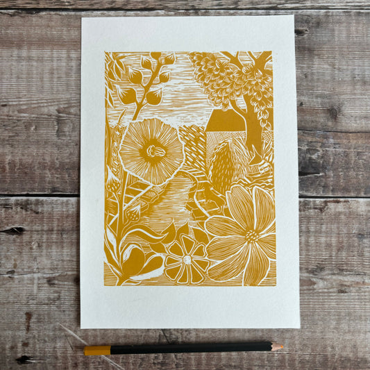 July at Holly Tree cottage