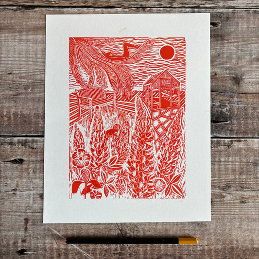 June at Holly Tree cottage