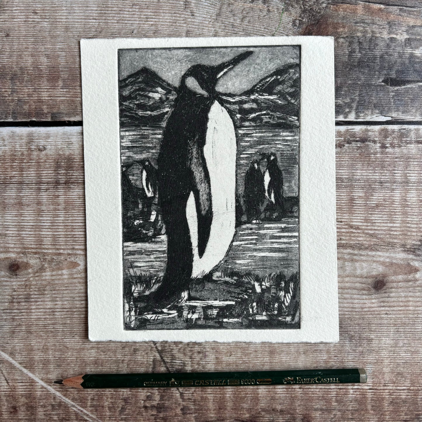 Penguin
