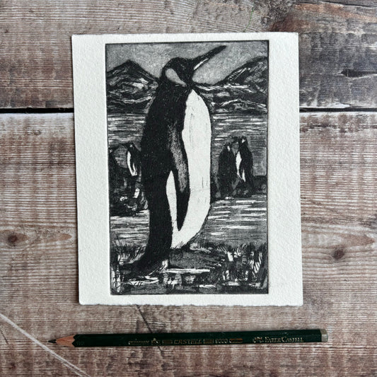 Penguin