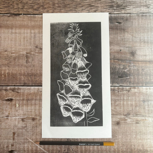 Foxglove B\E