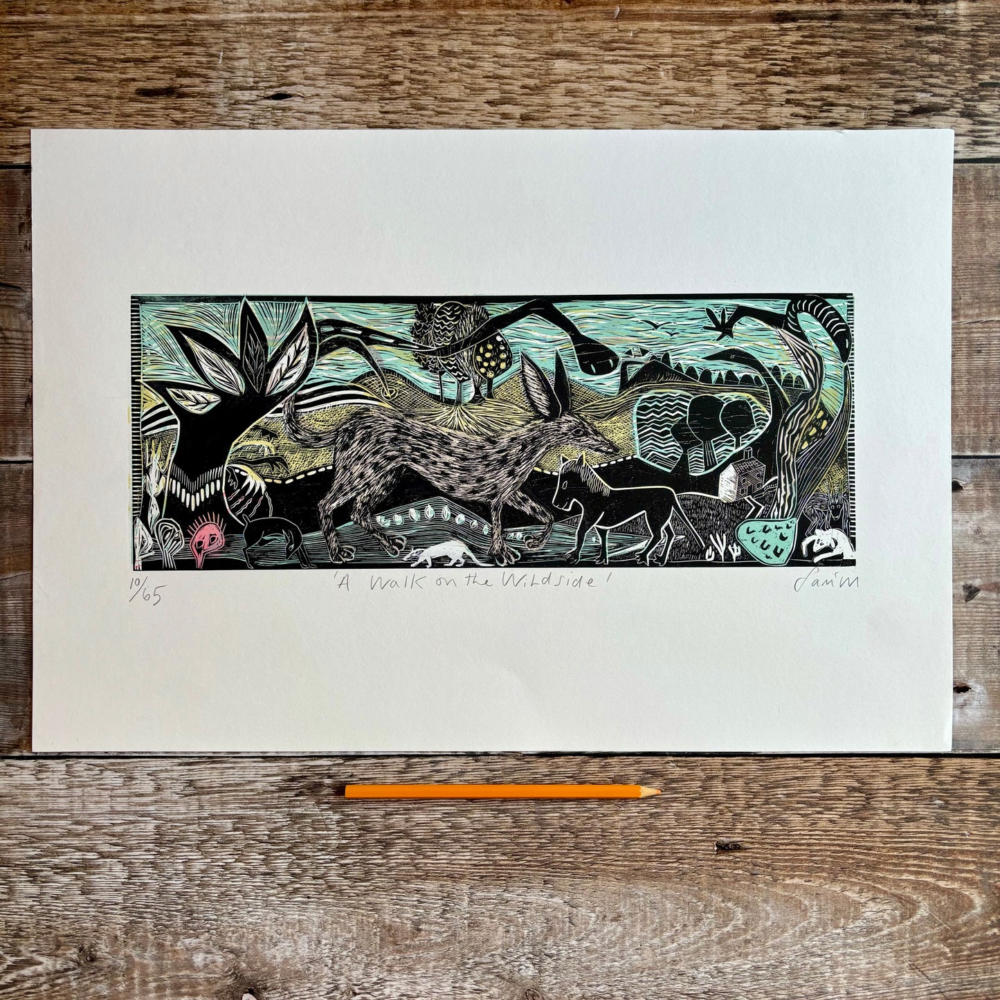 Walk on the wild side - Editioned print  1/2 price